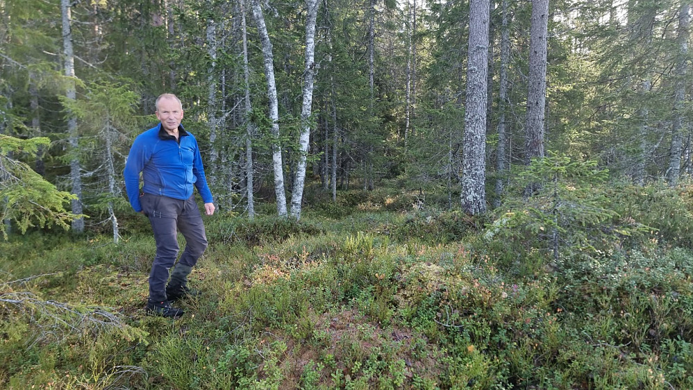 Høyere opp bar det gjennom skogen