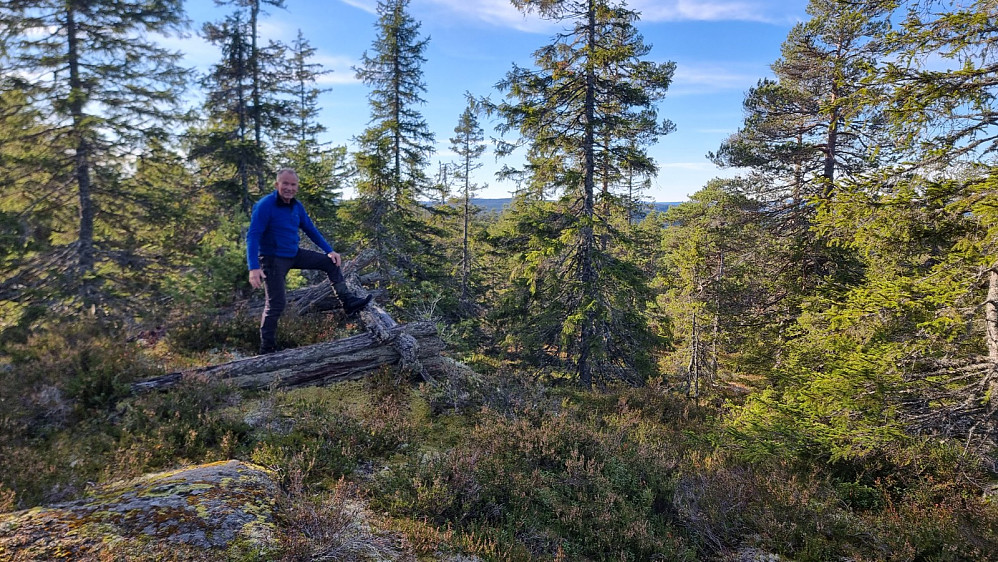 JHA på høyeste punkt