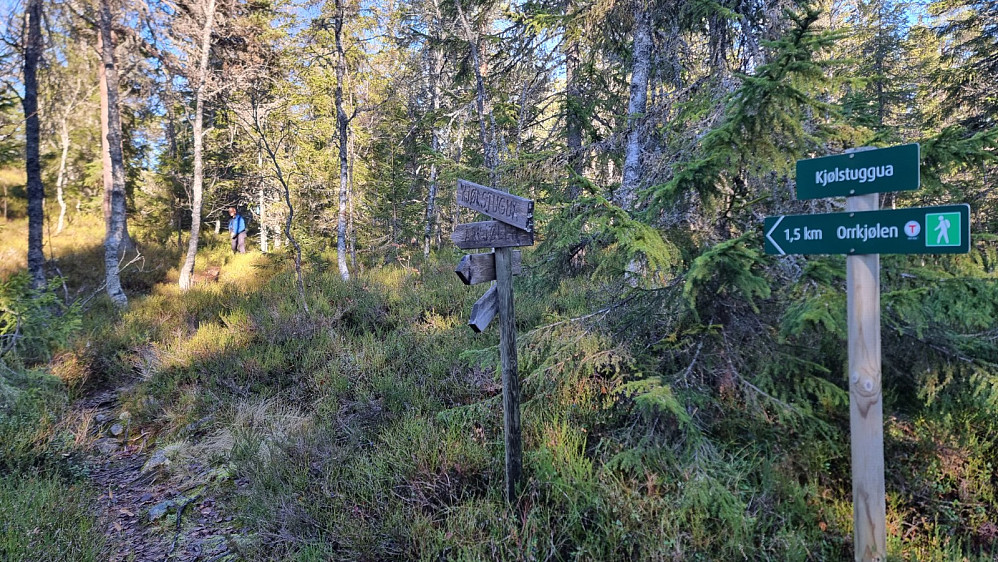 Godt merket og skiltet sti hele veien