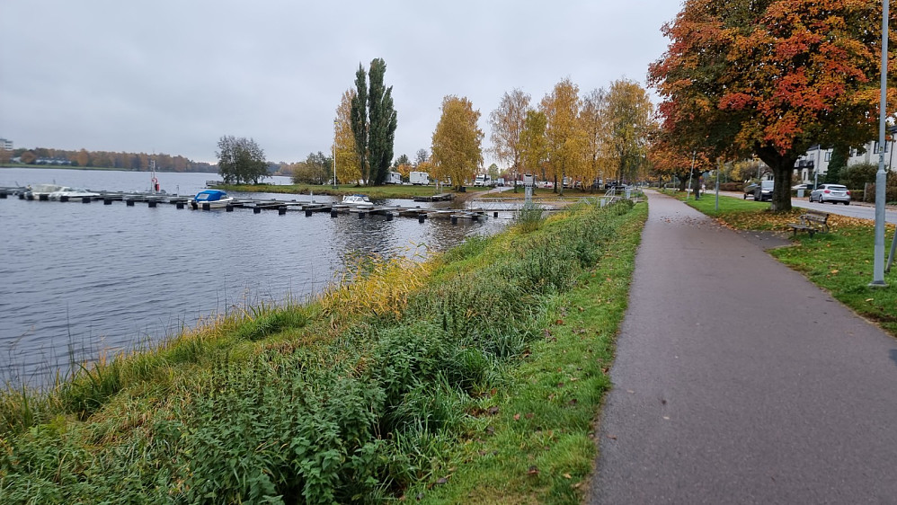 Flotte farger på tur mot Maribergsskogen