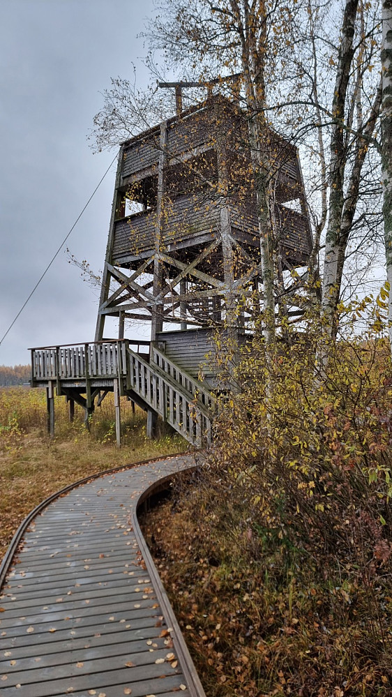 Fugletårn i Maribergsskogen