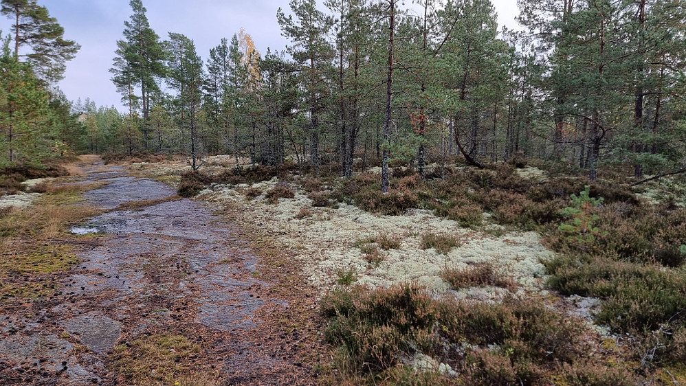Her er høyeste punkt på øya