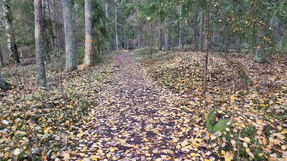 Mye fine stier på denne turen