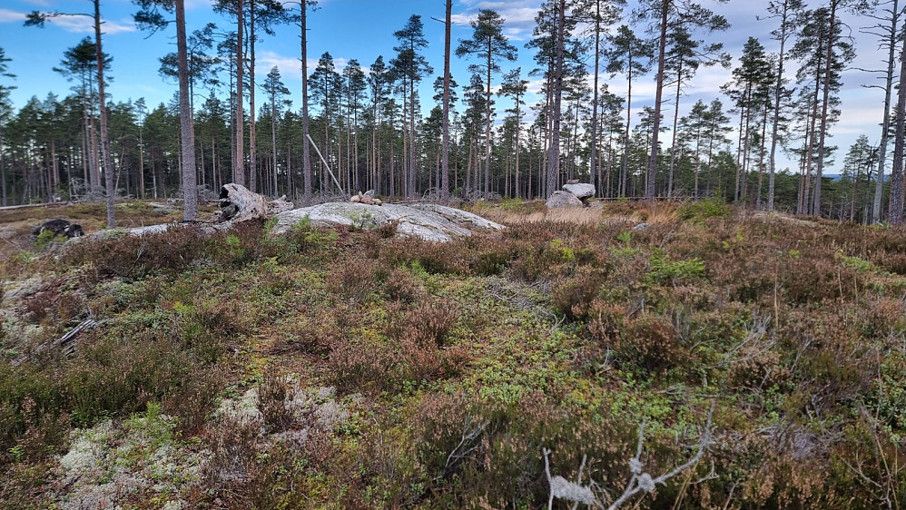 Markering på toppen