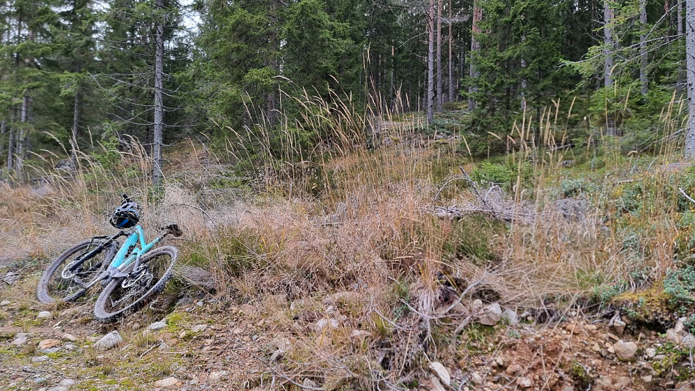 Her satte jeg igjen sykkelen og tok beina fatt opp mot toppen