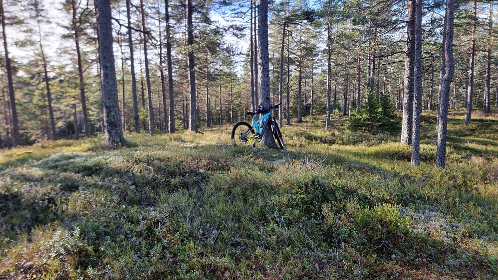 Høyeste punkt på Svartjennhøgda