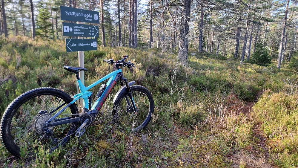 Det var skiltet til Elgheia, så da bestemte jeg meg for å ta også den toppen når jeg først var i gang