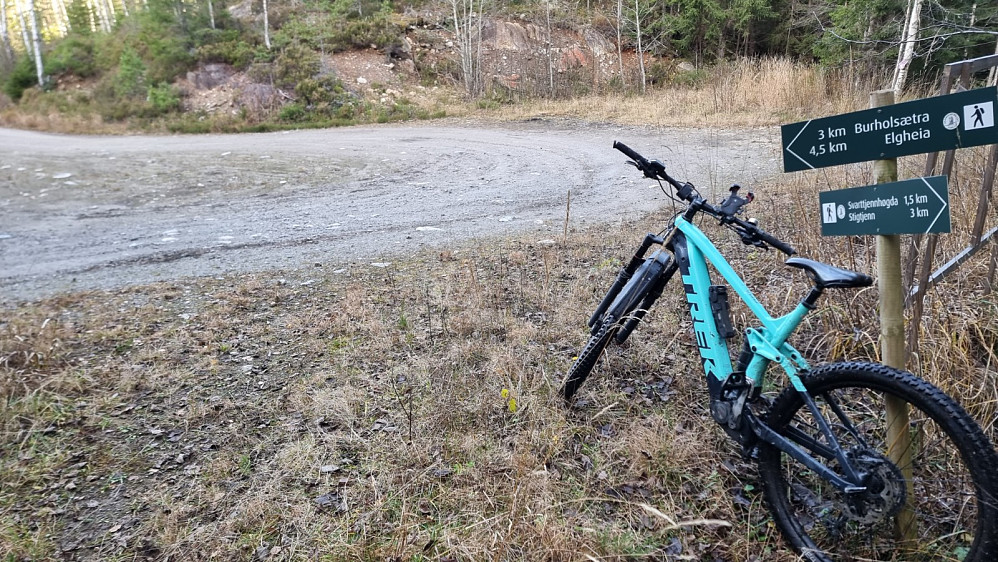 Etter mye sykling på sti, ble det noen hundre meter på vei før det bar til skogs igjen