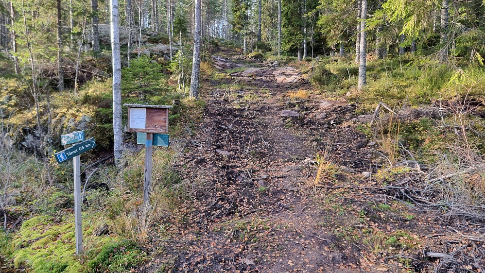 Da ble sykkelen igjen, og jeg tok beina fatt mot tårnet