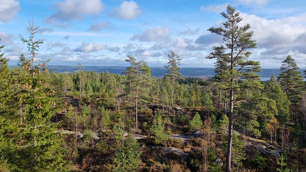 Utsikt østover, fra tårnet