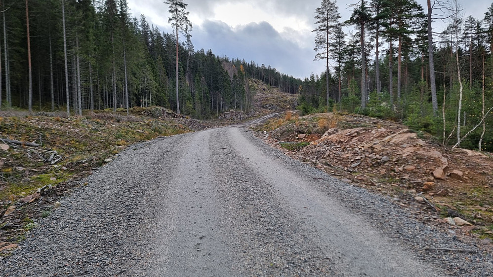 Nyopprusta skogsbilvei helt inn dit jeg parkerte sykkelen