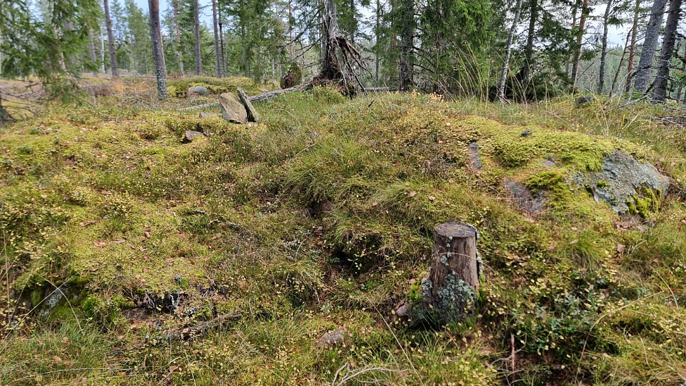 Høyeste punkt på Svarvestolåsen