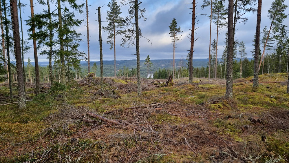 Det var litt utsikt fra toppen