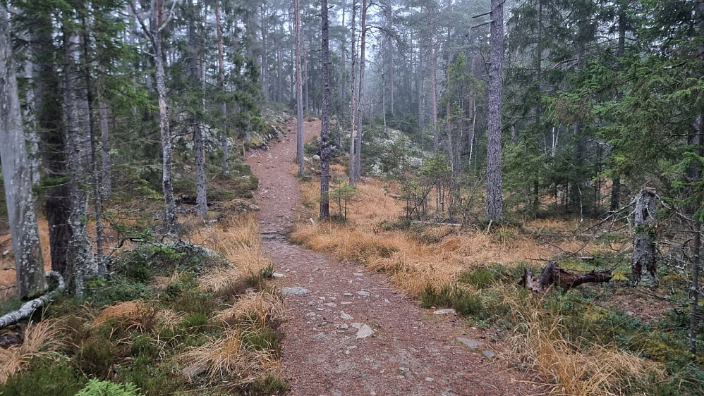 Dette var en av de bedre sykkelstiene noen gang!