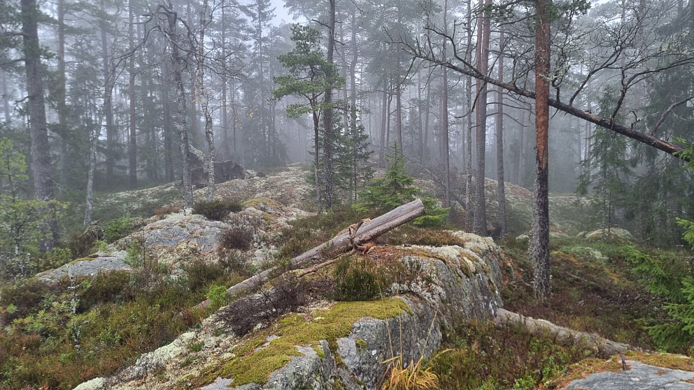 Det høyeste punktet lå imidlertid i Sverige
