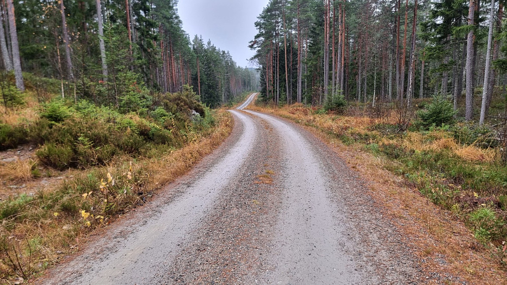 Da det var veldig vått på stien, tok jeg av på en sti som gikk bort til veien, og kunne da holde bra fart innover mot toppen