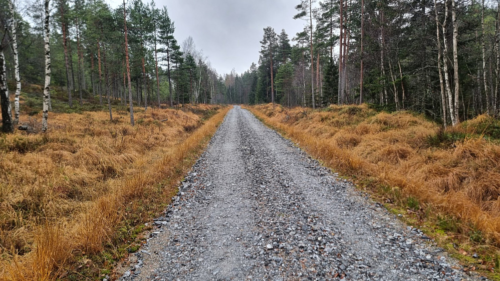Lengre inn var det grøvre grus og tyngre å sykle. Det satt 5 elgjegere på post med jevne mellomrom, langs veien