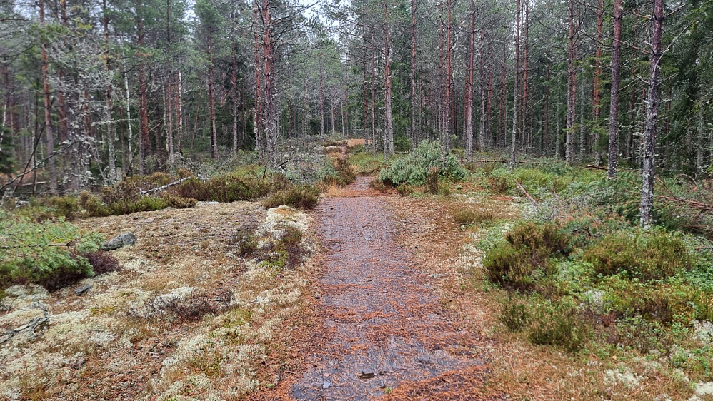 Siste biten opp gikk på fin sti