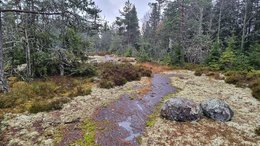 Liten markering på toppen av Lundene
