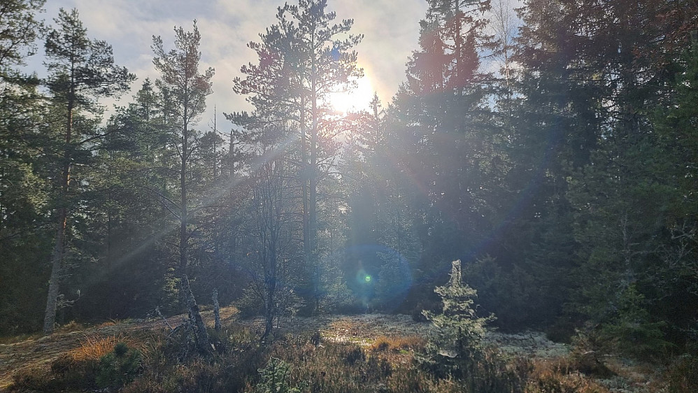 På returen kikket endelig sola frem igjennom skyene,
