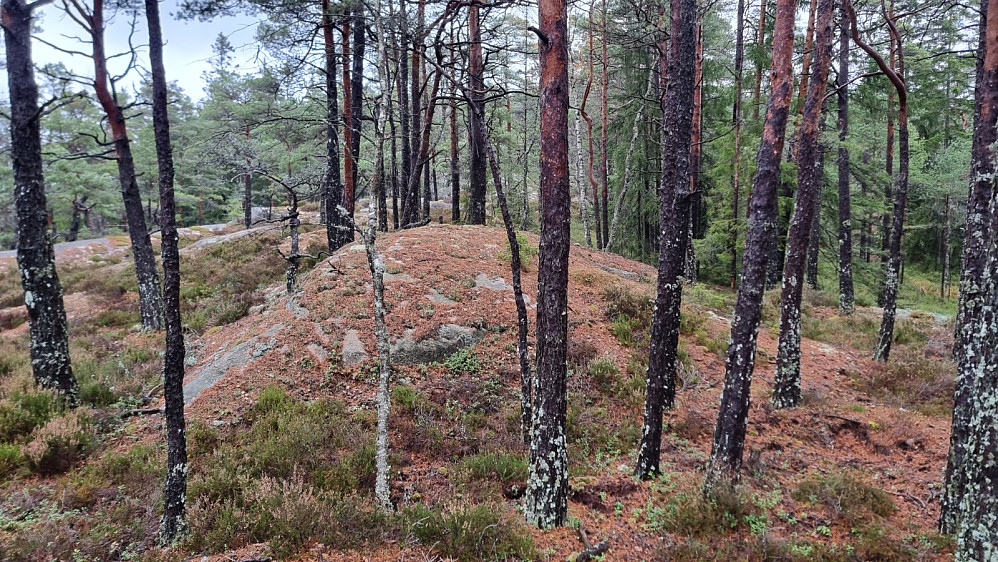 Mye bart berg og det var lett å gå her