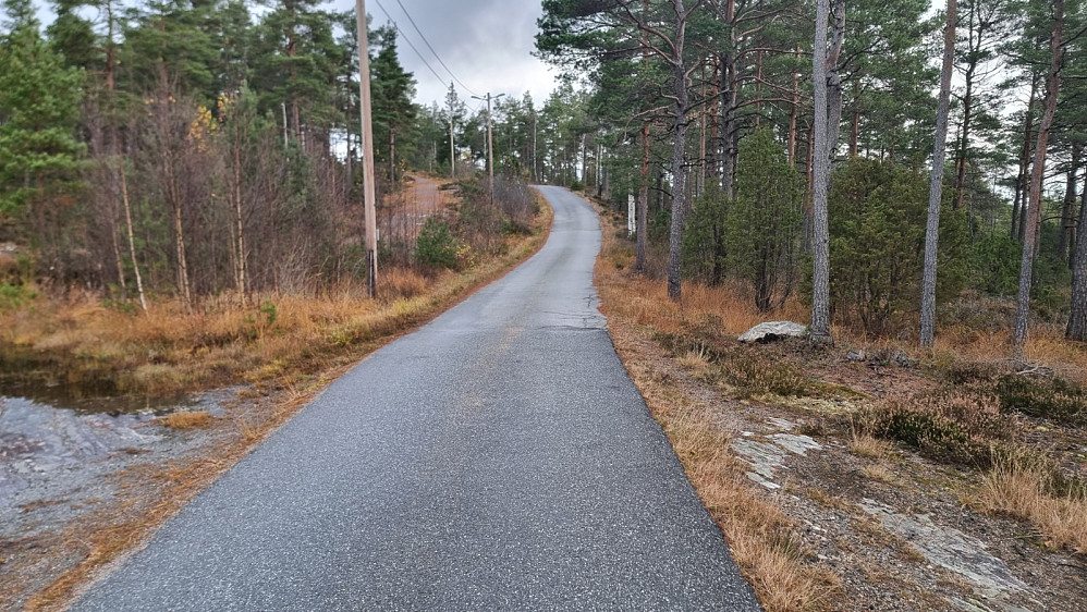 Turen opp til tårnet gikk på asfaltert vei, så det var ingen utfordring