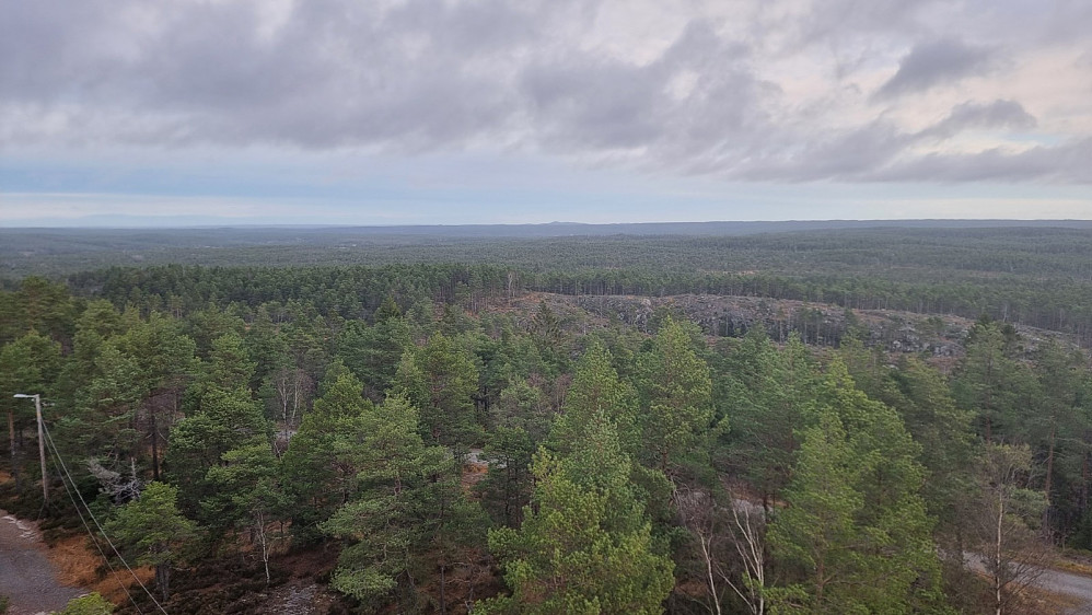 Fra tårnet var det mulig å se mye skog nordover