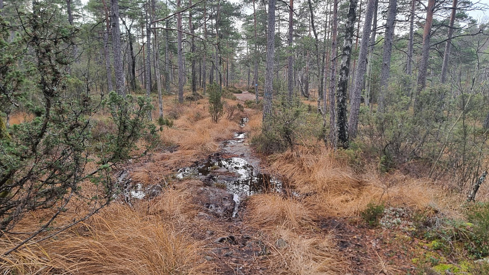 Fine sykkelstier, men en del partier med gjørme som var tunge å sykle