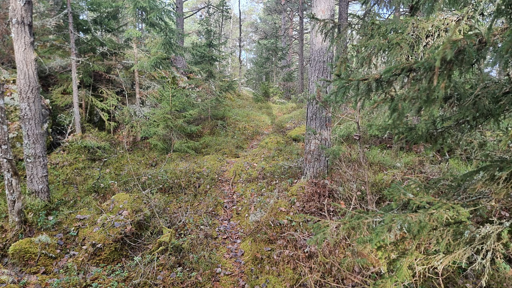 Oppe på ryggen fant jeg imidlertid en sti. Her møtte jeg et par og fikk litt info om den gamle bygdeborgen som man ser rester av her oppe 