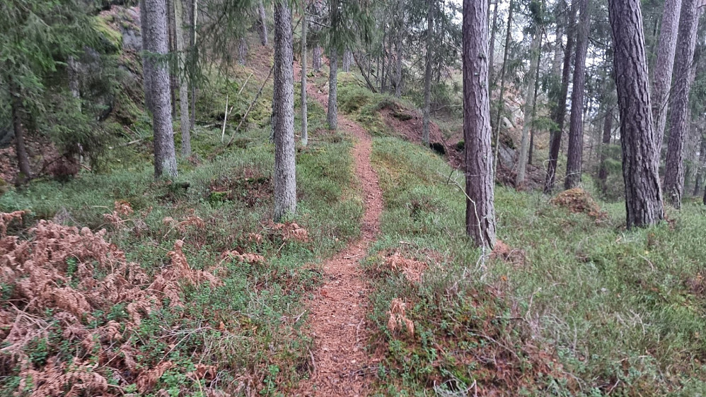 Oppe på ryggen fant jeg en fin sti som jeg kunne følge til toppen