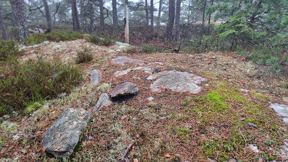 Høyeste punkt