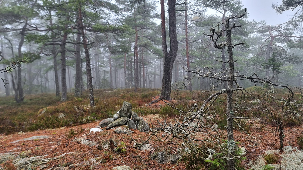 Liten markering på toppen av Horntjernåsen