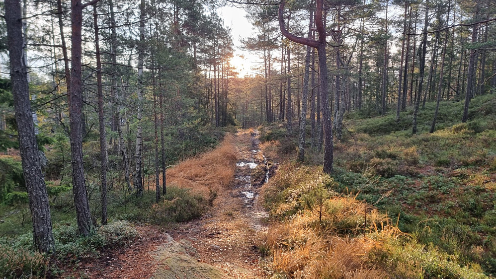 Fin men våt sti. Det ble et gjørmebad og sykkelen så ikke ut når jeg var tilbake ved bilen