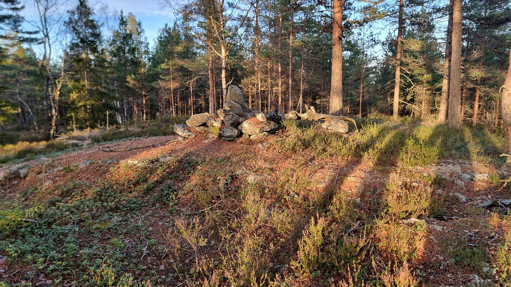 Flott på toppen av Røysås i dag