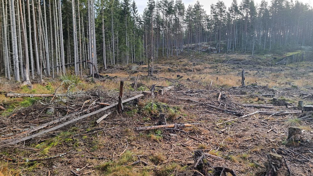 Et øyeblikk trodde jeg stien gikk inn her
