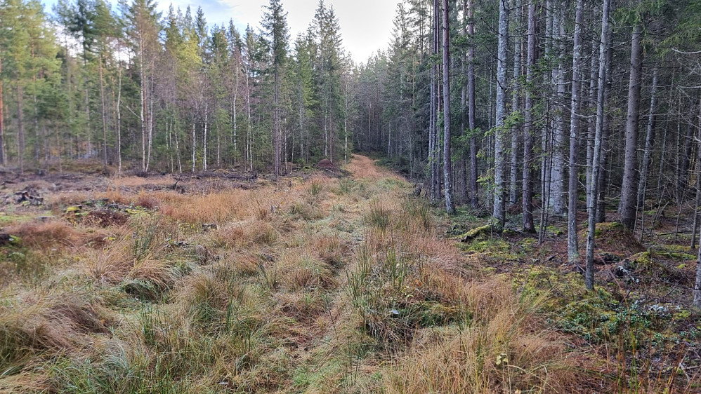 Her gikk imidlertid stien inn