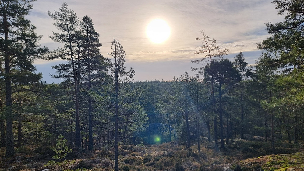 Sola kikka frem, og det ble litt varmere utover dagen