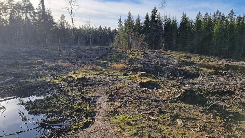 Ganske grei, men svært våt sti i starten