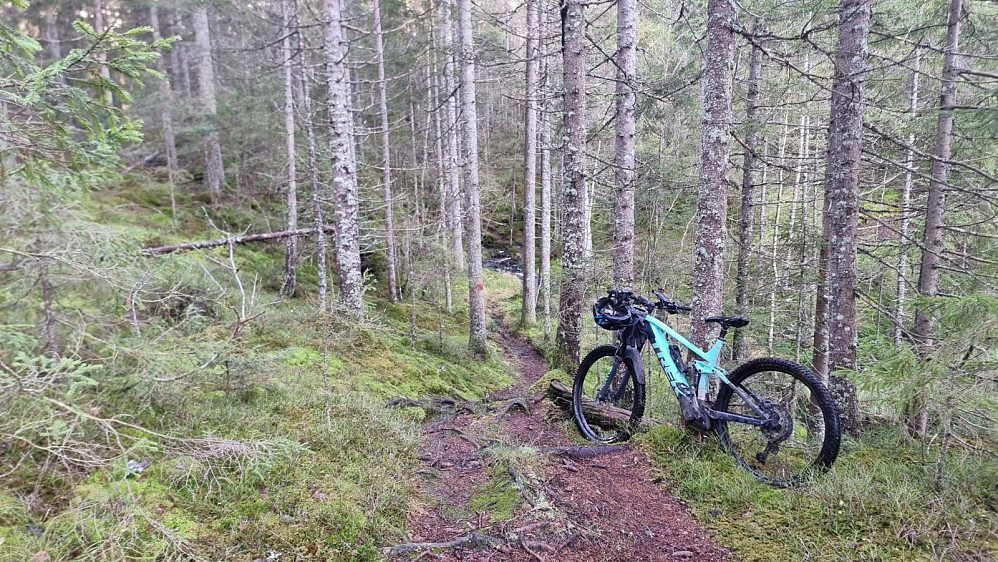 Her ble sykkelen parkert, da stien ikke egnet seg så bra for sykling