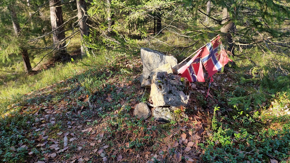 Flagg på toppen av Taraldruåsen