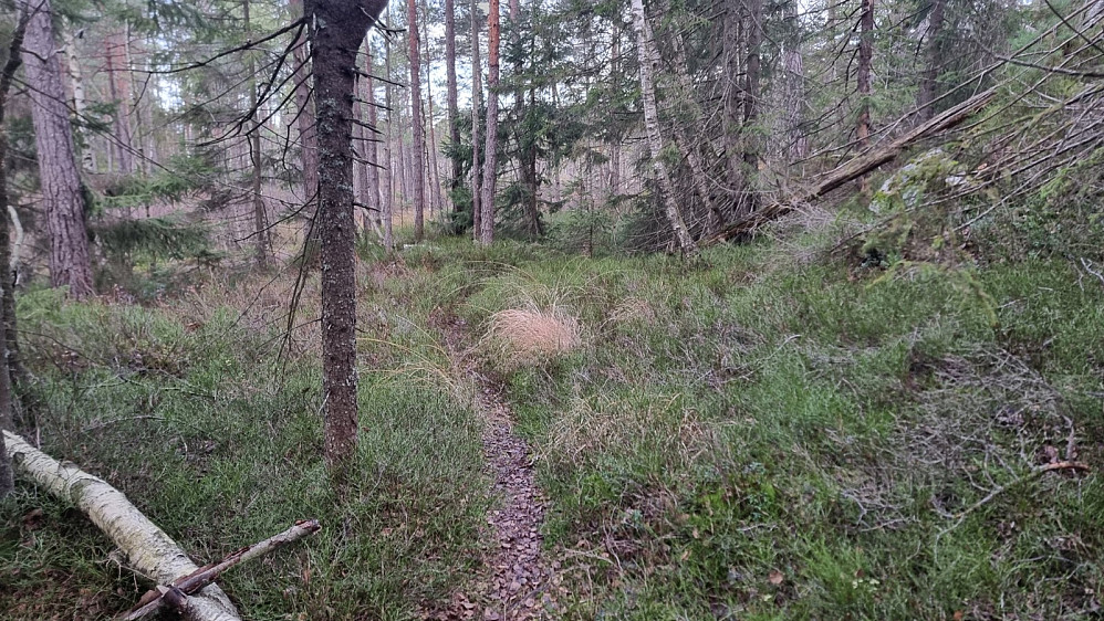 Fin sti innover mot toppen