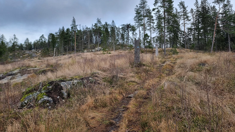 Fin og lettgått sti helt opp