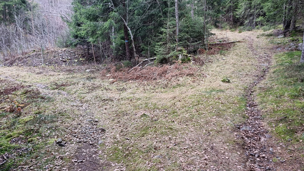 Stikryss litt lengre inn. Jeg holdt til høyre