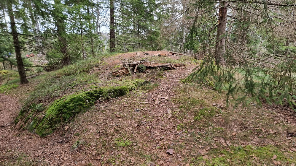 Toppen av Vardåsen. Rett nedenfor toppen traff jeg tre karer som skulle fyre bål og kose seg.