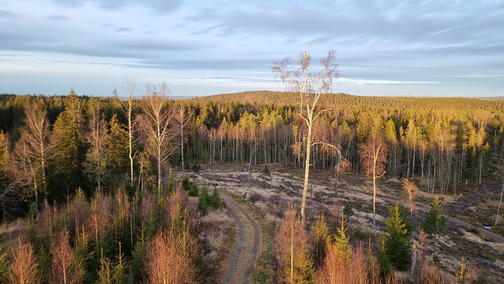 Utsikt østover