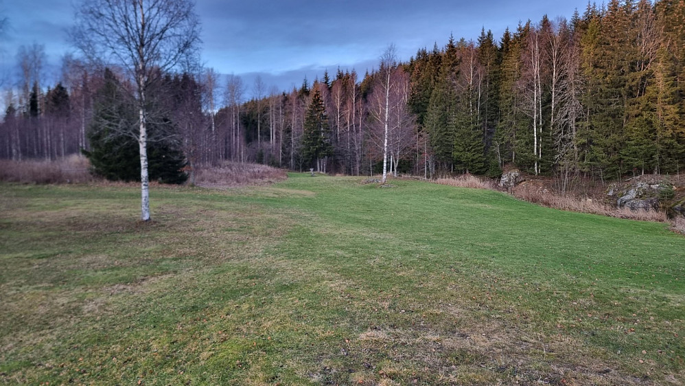 På tur over innmark mot Hasselåsen