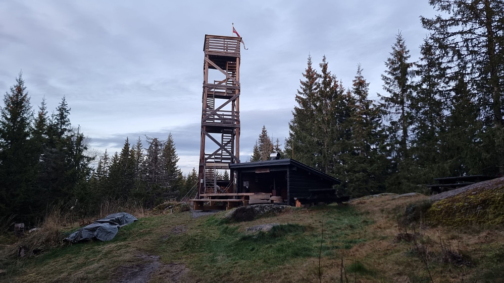 Tårn også på Hasselåsen