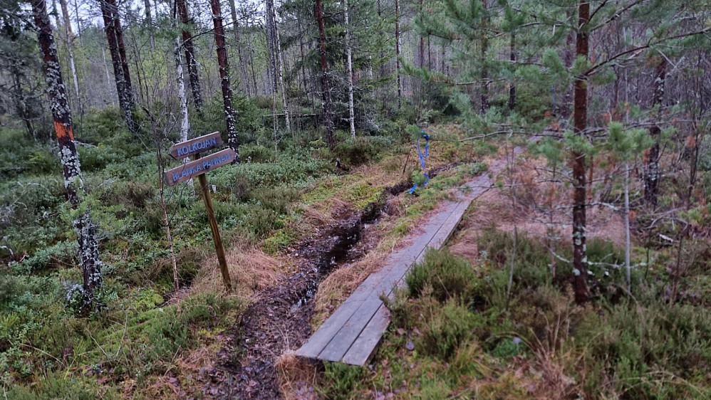 Tilrettelagt for tur her