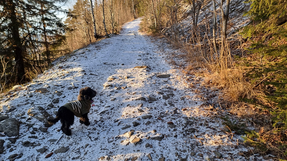 Rim på bakken men fortsatt ingen snø