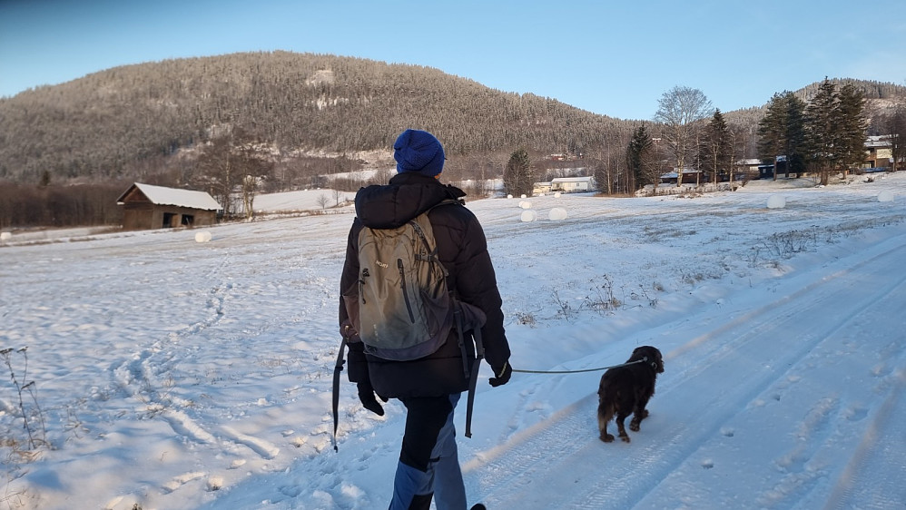Skippy var ivrig på tur og ville nok helst gått løs